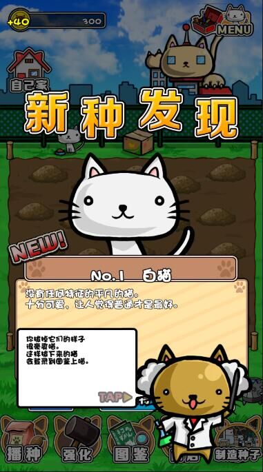 猫咪田种植 汉化版