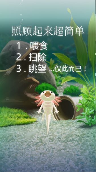 治愈的蝾螈育成游戏