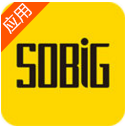 SOBIG