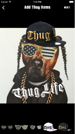 thug life