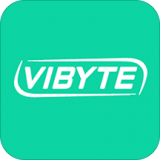 vibyte