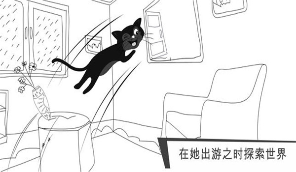 猫咪出游