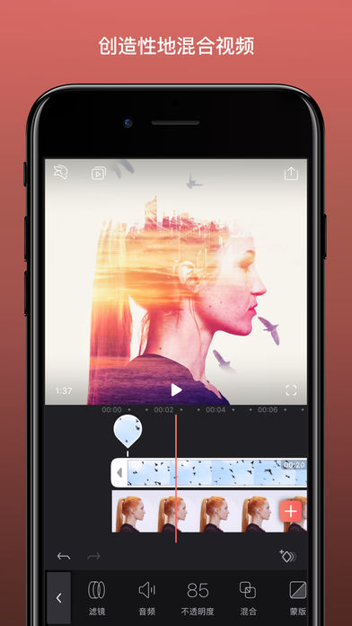 Enlight Videoleap