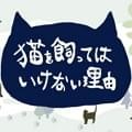 不能养猫的理由