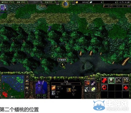 《dota》6.79蟠桃位置圖文攻略