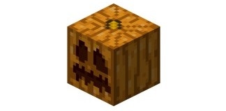 《我的世界》15條游戲心得分享