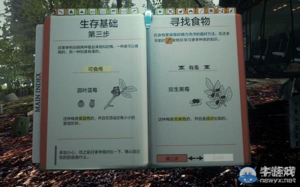 《森林》圖文攻略大全