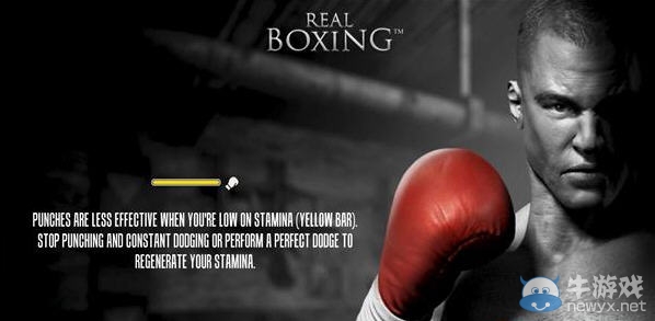 《真實(shí)拳擊》PC配置要求