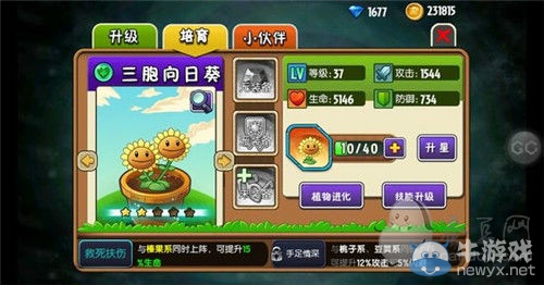 《植物大戰(zhàn)僵尸全明星》紫卡攻略