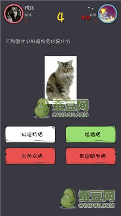 《么么答》萌寵猜圖答案大全