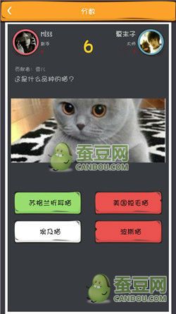 《么么答》萌寵猜圖答案大全