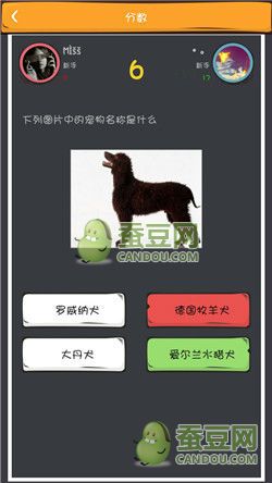 《么么答》萌寵猜圖答案大全