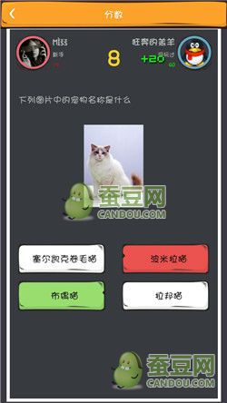 《么么答》萌寵猜圖答案大全