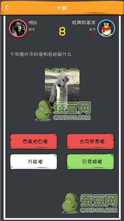 《么么答》萌寵猜圖答案大全