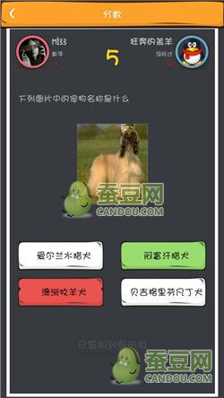 《么么答》萌寵猜圖答案大全