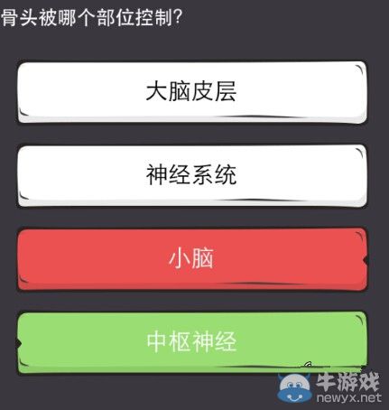 《么么答》人體知識類答案大全