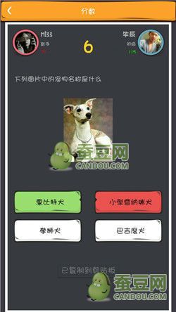 《么么答》萌寵猜圖答案大全