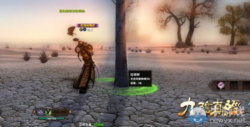 《九陰真經(jīng)》俠客行 江湖新手生存指南家園玩法