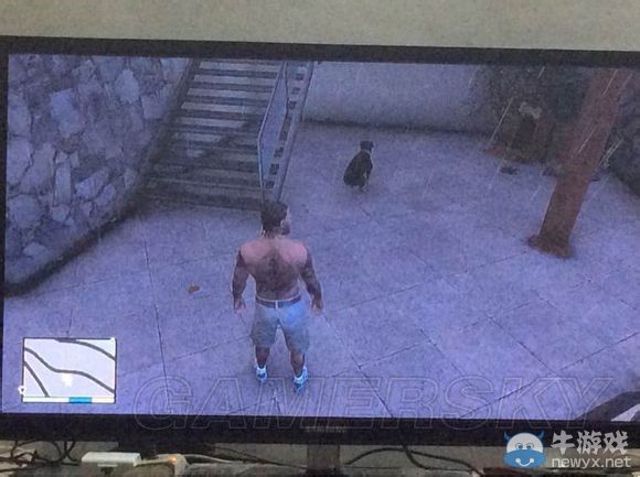 《GTA5》趣味小細節說明一覽