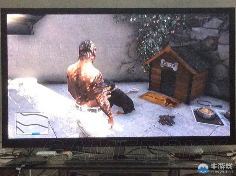 《GTA5》趣味小細節說明一覽