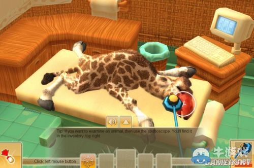 《非洲腹地野生動(dòng)物園》圖文攻略