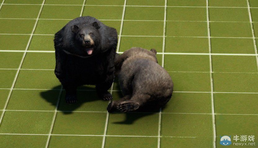 《孤島驚魂4》全動物戰(zhàn)斗力實測結(jié)果一覽