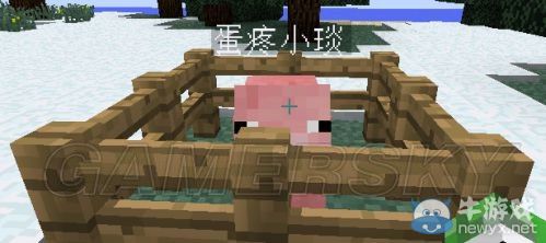 《我的世界》為生物改名方法圖文教程