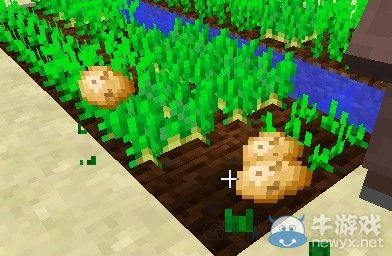 《我的世界》村莊村民圖文詳解