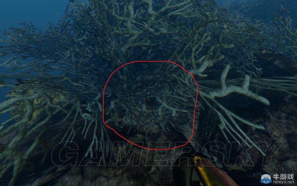 《荒島求生》全生物資料圖文一覽