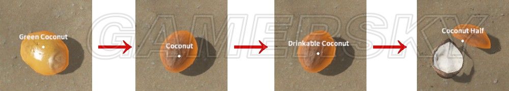 《荒島求生》全生物資料圖文一覽