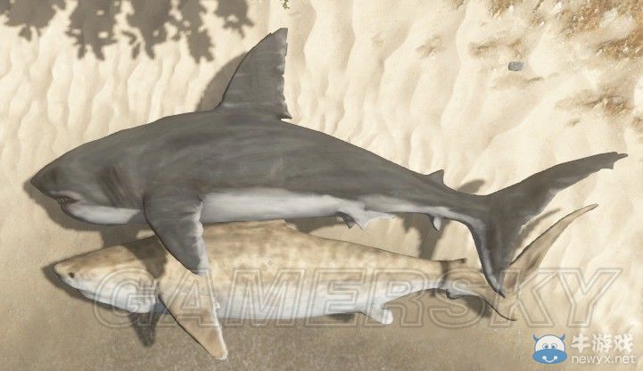 《荒島求生》全生物資料圖文一覽