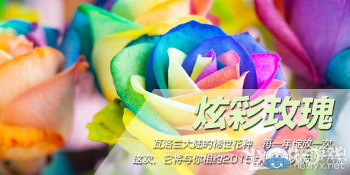 《LOL》集炫彩玫瑰 兌換中國風永久皮膚