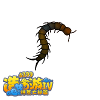 《造夢西游4》蜈蚣皮圖鑒