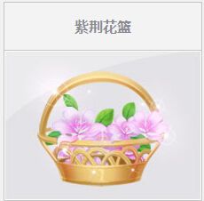 《QQ飛車》紫荊花籃活動介紹