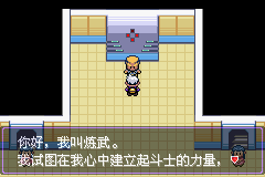 《口袋妖怪漆黑的魅影》5.0全流程圖文攻略