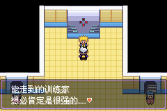 《口袋妖怪漆黑的魅影》5.0全流程圖文攻略