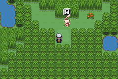 《口袋妖怪漆黑的魅影》5.0全流程圖文攻略