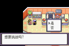 《口袋妖怪漆黑的魅影》5.0全流程圖文攻略