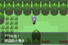 《口袋妖怪漆黑的魅影》5.0全流程圖文攻略