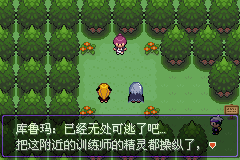 《口袋妖怪漆黑的魅影》5.0全流程圖文攻略