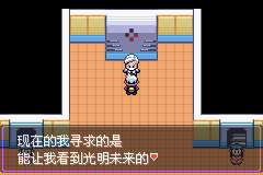 《口袋妖怪漆黑的魅影》5.0全流程圖文攻略