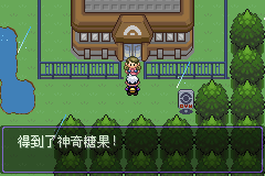 《口袋妖怪漆黑的魅影》5.0全流程圖文攻略