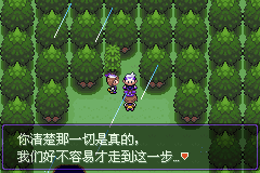 《口袋妖怪漆黑的魅影》5.0全流程圖文攻略