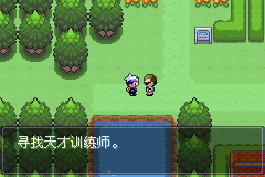 《口袋妖怪漆黑的魅影》5.0全流程圖文攻略