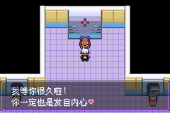 《口袋妖怪漆黑的魅影》5.0全流程圖文攻略