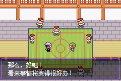 《口袋妖怪漆黑的魅影》5.0全流程圖文攻略