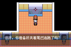 《口袋妖怪漆黑的魅影》5.0全流程圖文攻略