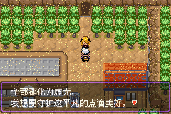 《口袋妖怪漆黑的魅影》5.0全流程圖文攻略