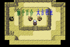 《口袋妖怪漆黑的魅影》5.0全流程圖文攻略