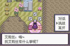 《口袋妖怪漆黑的魅影》5.0全流程圖文攻略